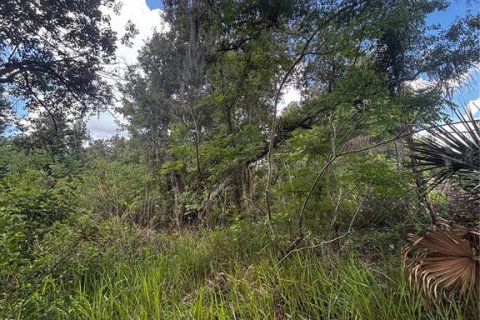 Land in Bowling Green, Florida № 2161359 - photo 6