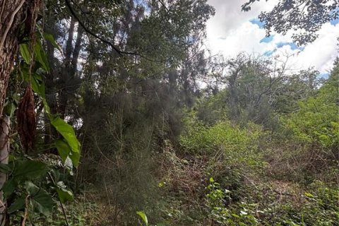 Land in Bowling Green, Florida № 2161359 - photo 5