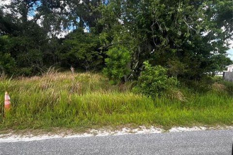Land in Bowling Green, Florida № 2161359