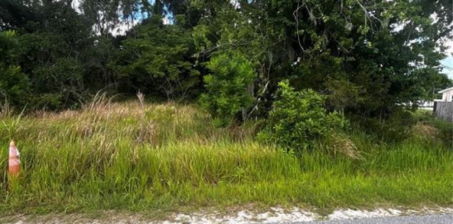 Land in Bowling Green, Florida № 2161359