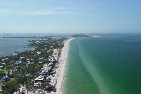 Land in Placida, Florida № 1852545 - photo 8