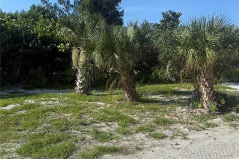 Land in Placida, Florida № 1852545 - photo 11