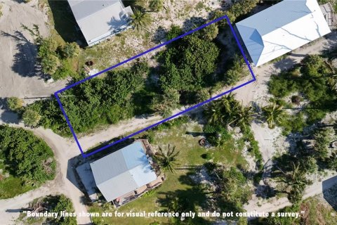 Land in Placida, Florida № 1852545 - photo 2