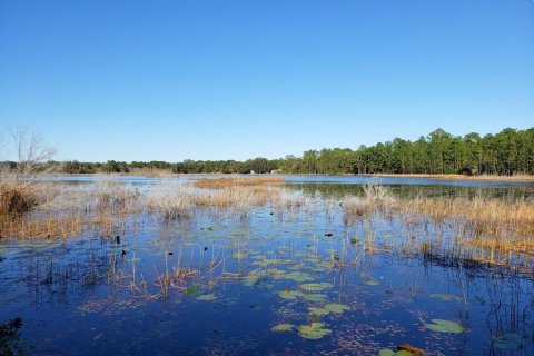 Land in Fort MC Coy, Florida № 1901108 - photo 2