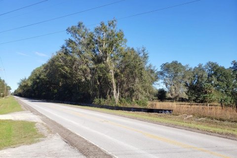 Land in Fort MC Coy, Florida № 1901108 - photo 5