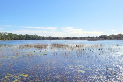 Land in Fort MC Coy, Florida № 1901108 - photo 7