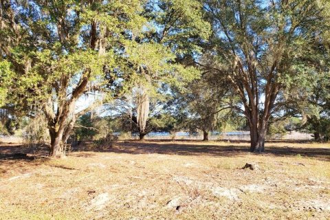 Land in Fort MC Coy, Florida № 1901108 - photo 4