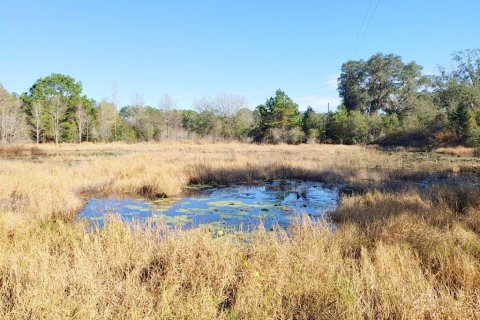 Land in Fort MC Coy, Florida № 1901108 - photo 10