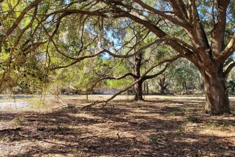Land in Fort MC Coy, Florida № 1901108 - photo 1
