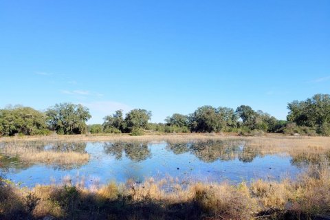 Land in Fort MC Coy, Florida № 1901108 - photo 3