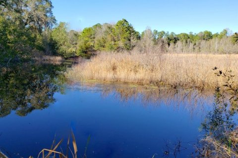 Land in Fort MC Coy, Florida № 1901108 - photo 9