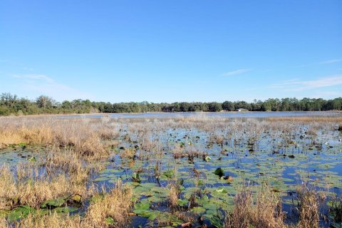 Land in Fort MC Coy, Florida № 1901108 - photo 8