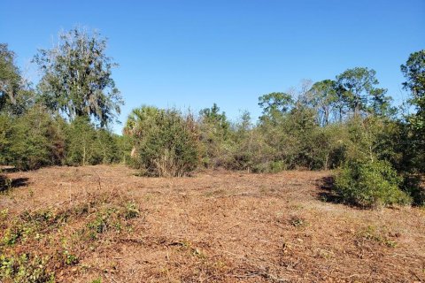 Land in Fort MC Coy, Florida № 1901108 - photo 12