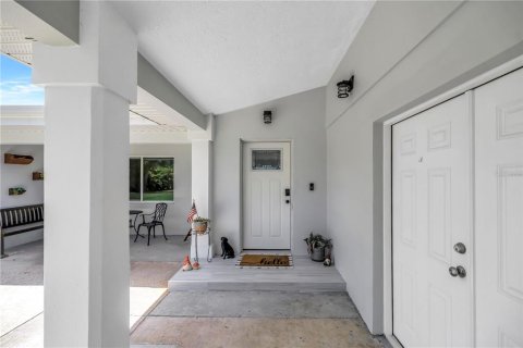 Casa en venta en Saint Petersburg, Florida, 5 dormitorios, 512.91 m2 № 2209507 - foto 9
