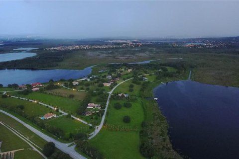 Land in Groveland, Florida № 1720539 - photo 4