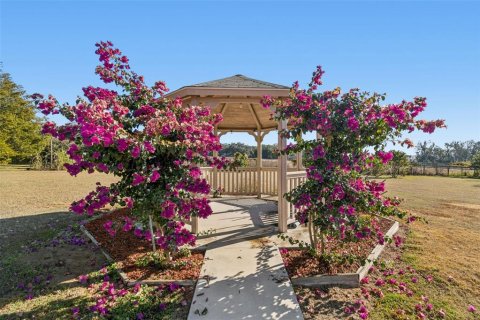 Casa en venta en Dade City, Florida, 5 dormitorios, 290.51 m2 № 2229444 - foto 5