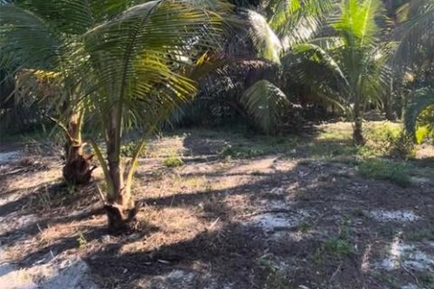 Land in Placida, Florida № 1906674 - photo 1