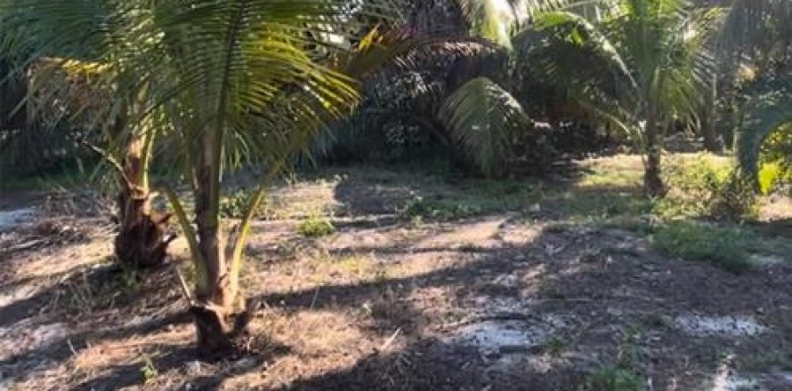 Terreno en Placida, Florida № 1906674