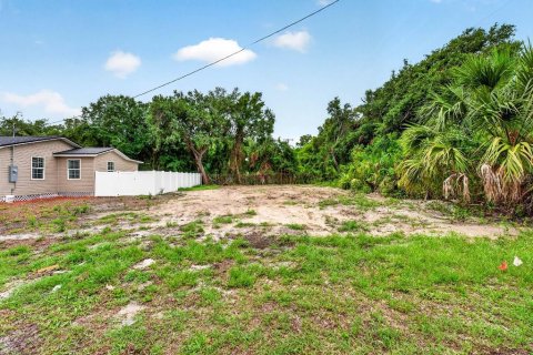 Land in Tampa, Florida № 2351842