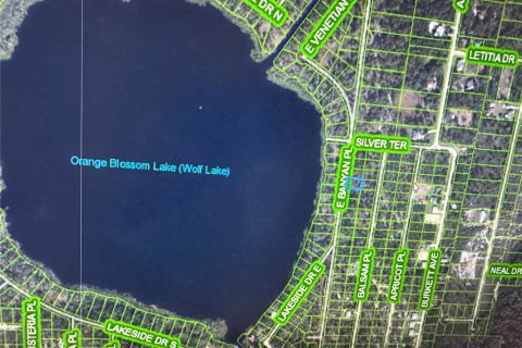 Land in Sebring, Florida № 2160056 - photo 2