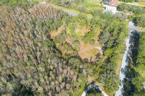 Land in Tarpon Springs, Florida № 1894764 - photo 17