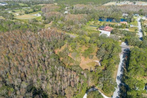 Land in Tarpon Springs, Florida № 1894764 - photo 18