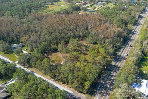 Land in Tarpon Springs, Florida № 1894764 - photo 2