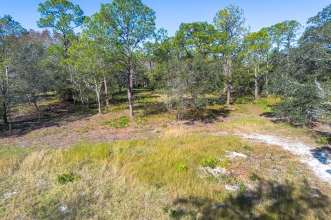 Land in Tarpon Springs, Florida № 1894764 - photo 29
