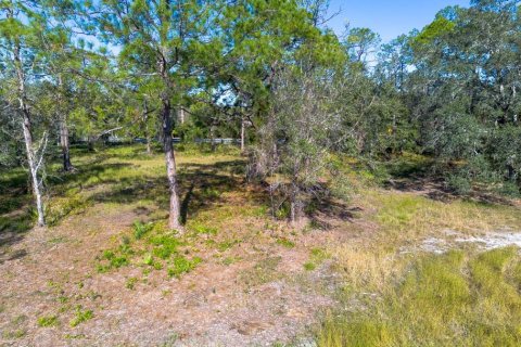 Land in Tarpon Springs, Florida № 1894764 - photo 30