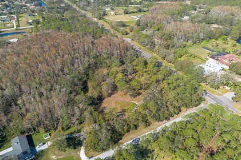 Land in Tarpon Springs, Florida № 1894764 - photo 20