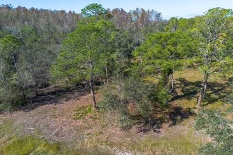 Land in Tarpon Springs, Florida № 1894764 - photo 27