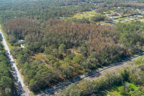 Land in Tarpon Springs, Florida № 1894764 - photo 4