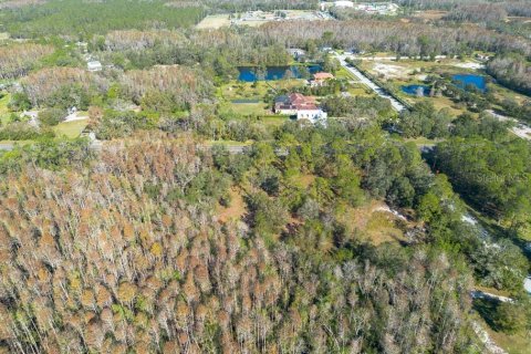 Land in Tarpon Springs, Florida № 1894764 - photo 15