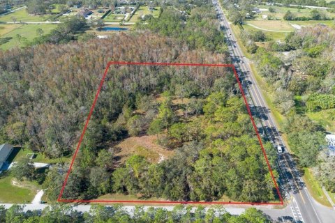 Land in Tarpon Springs, Florida № 1894764 - photo 22