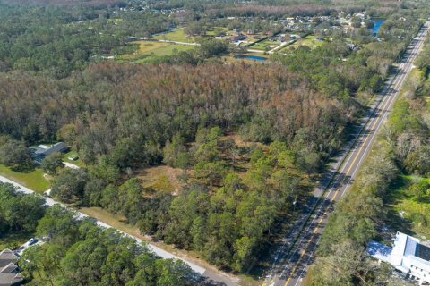 Land in Tarpon Springs, Florida № 1894764 - photo 3