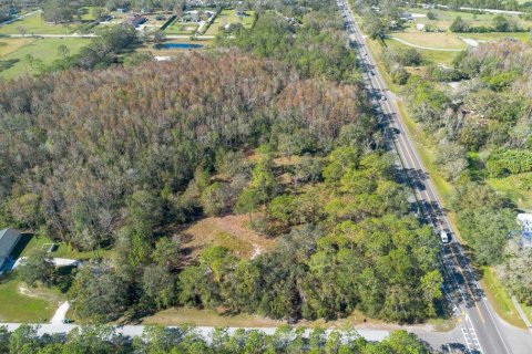 Land in Tarpon Springs, Florida № 1894764 - photo 21