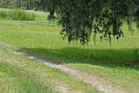 House in Groveland, Florida 3 bedrooms, 203.27 sq.m. № 1879695 - photo 2