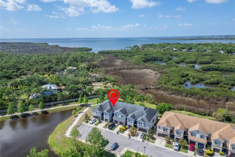 Adosado en alquiler en Tampa, Florida, 3 dormitorios, 168.71 m2 № 2102674 - foto 5
