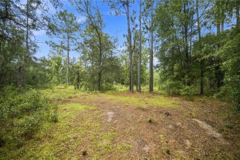 Land in Morriston, Florida № 2297084