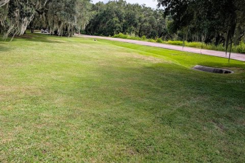 Land in Gainesville, Florida № 1903225 - photo 5