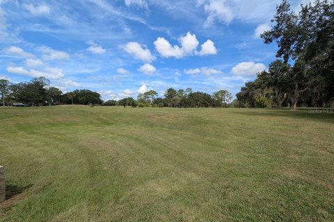 Land in Gainesville, Florida № 1903225 - photo 6