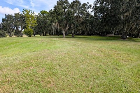 Land in Gainesville, Florida № 1903225 - photo 3
