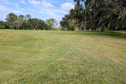 Land in Gainesville, Florida № 1903225 - photo 4