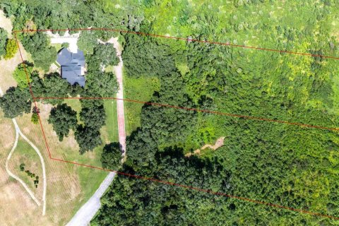 Land in Gainesville, Florida № 1903225 - photo 7