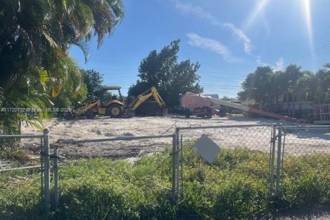 Купить земельный участок в Хайалиа, Флорида № 1940249 - фото 2