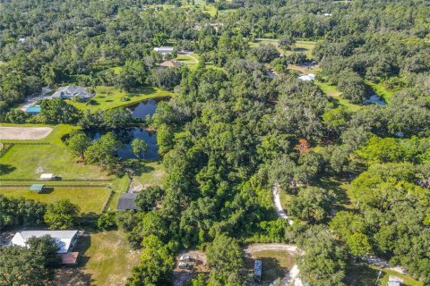 Land in Osteen, Florida № 1873694 - photo 6