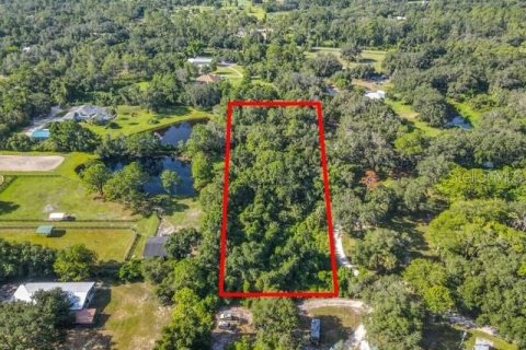 Land in Osteen, Florida № 1873694 - photo 2