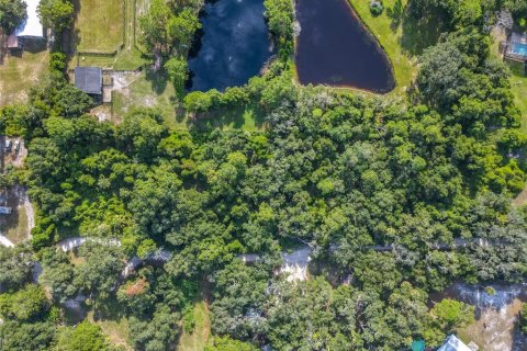 Land in Osteen, Florida № 1873694 - photo 11