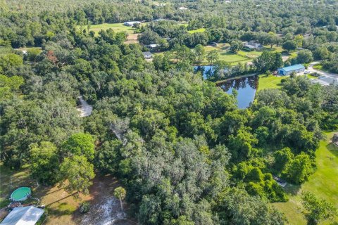 Land in Osteen, Florida № 1873694 - photo 18