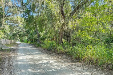 Land in Osteen, Florida № 1873694 - photo 19